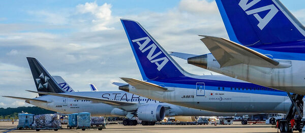 よろしくお願い致します[専用] ANA2点 - 航空機